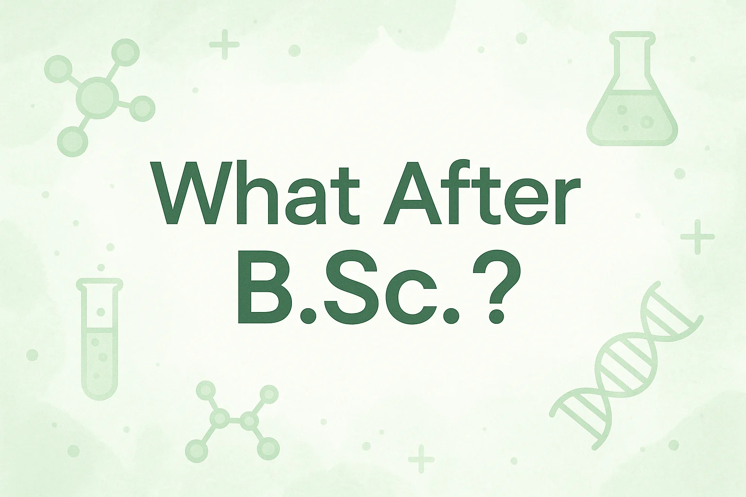 What After BSc?